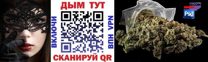 купить наркоту  Курлово  Конопля гибрид 